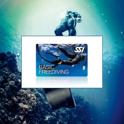 Basic Freediving
