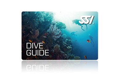 SSI Professional Tauchkurs - Dive Guide