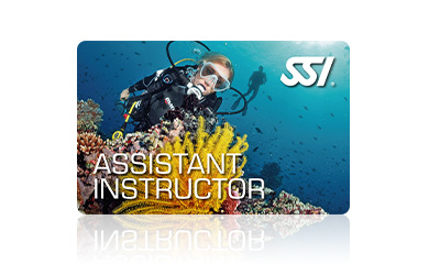SSI Professional Tauchkurs - Assistant Instructor