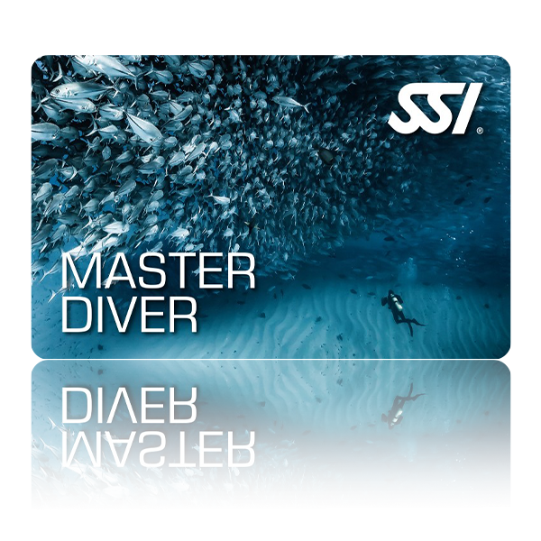 SSI Master Diver Tauchausbildung bei Atlantis Berlin